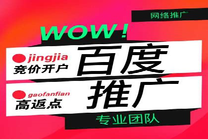 案例解析：网络推广竞价策略